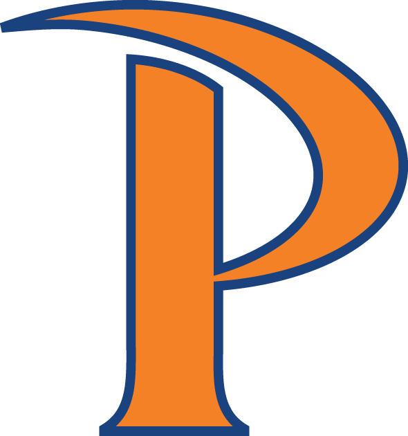 Pepperdine Waves 2011-Pres Alternate Logo diy DTF decal sticker